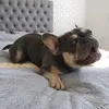 cruiseimpossible