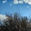 www.firstnoone.com