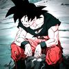 son_goku14j