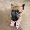 xkchet