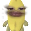 doiquatroiiiii