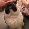 bunnyybeanss