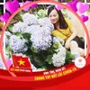 dothuy211220