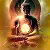 phuongtronghai