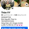 lavieshop_phukien