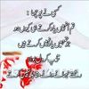 mohsin5040