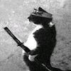 gafurr_06