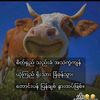 kaung.lay42588