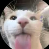 hatdognatabinge