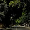 haig_113