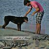 ابن الحالمه