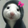 user.not.found1717