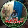 kashifjutt8944