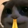 peng.nnn