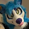 twobluedawgs