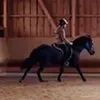 prettylittlerider