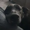 penny.fletcher