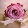 theloneliness04