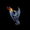 fire.dragon63