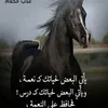 user184948052