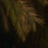 ro_rr35