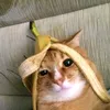 osjdhfldbq