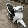 trangtompi1