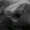 khongtinnuadau07_