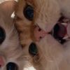 lulslslsls