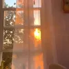 jasroses0