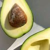 avvvvocado1