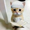 sehat_selalu77