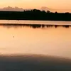 lucianonogueira284