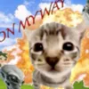 khoa_trannn