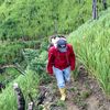 kapanjalankesekobagus_