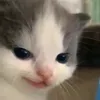 qtianoooo