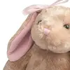 dipapapipa