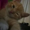 kky1n