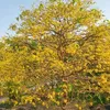 khanhthu.95