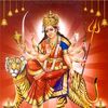 brijkishorawasthi1