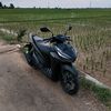 rfly_glr