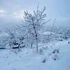 aliabid912