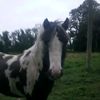 aoibheann86