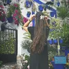 isabel.dps