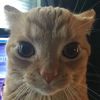 windows_error420