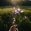 what_do_you_think___