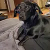samanthaherman282