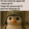 silva2478
