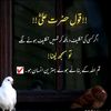 user12808844669990