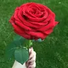 usmanmehar4149
